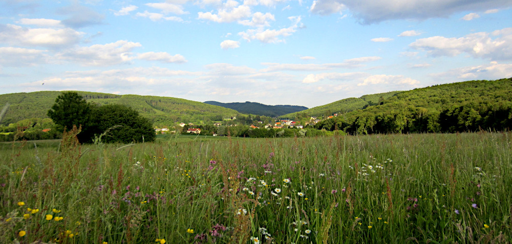 Blick auf Mauerbach