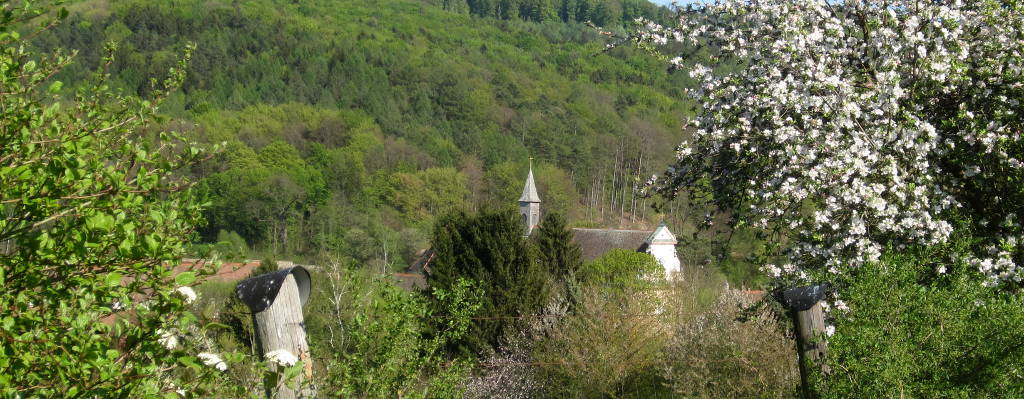 Kartause