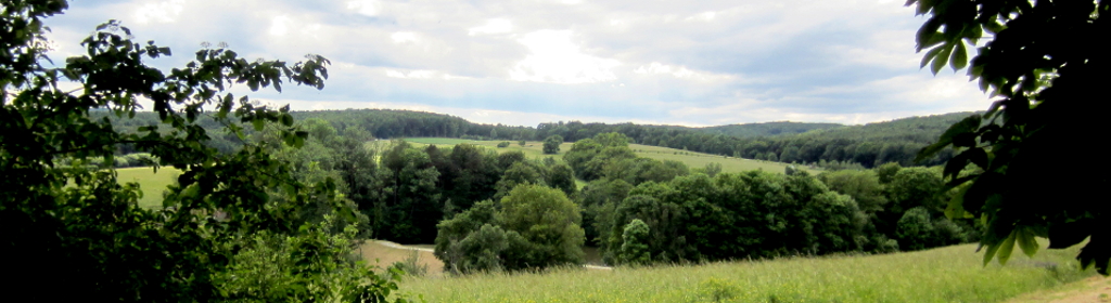 Blick zur Feldwiese