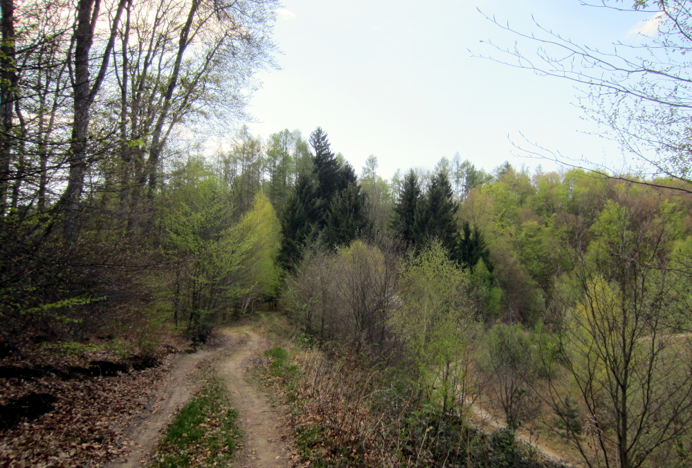 Im Taglesbergtal