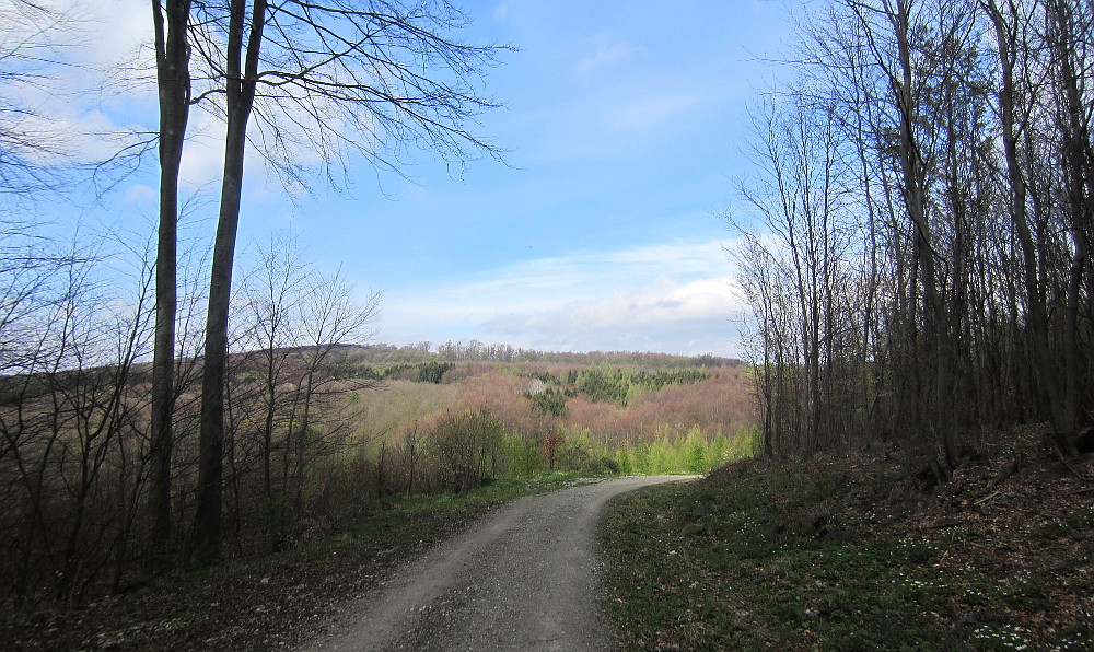Ausblick Weg 21