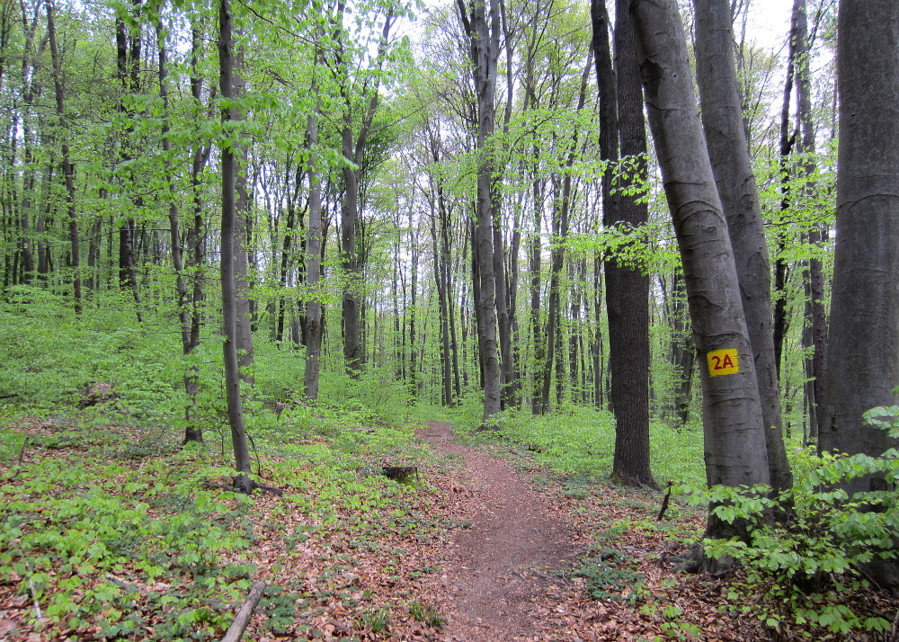 Am Wanderweg 2A