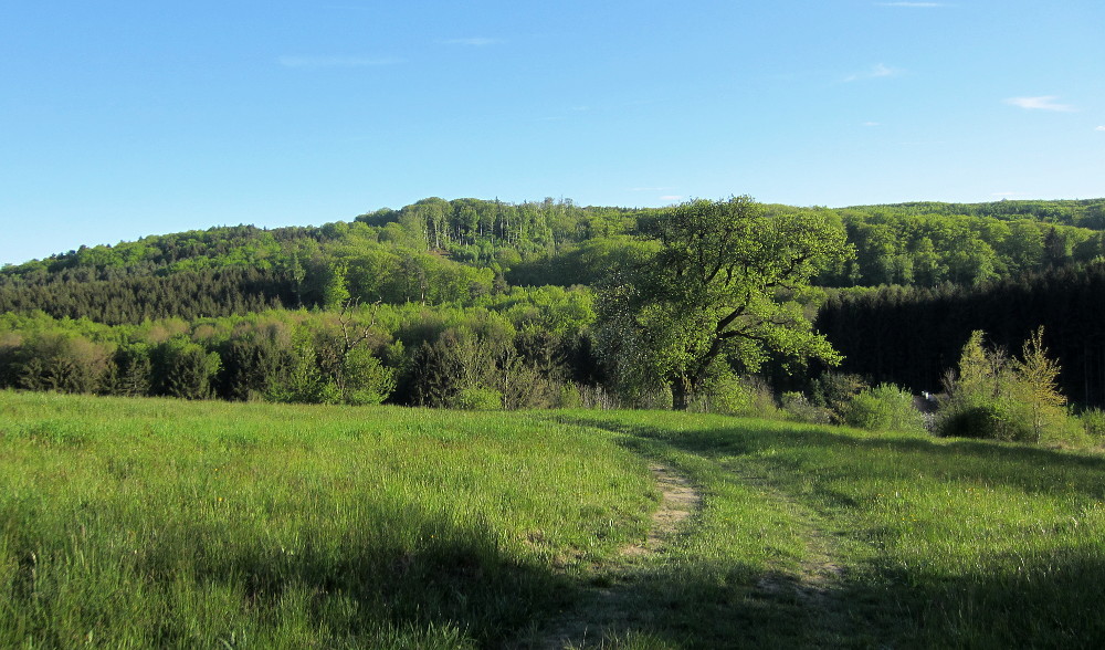 Am Wanderweg 3