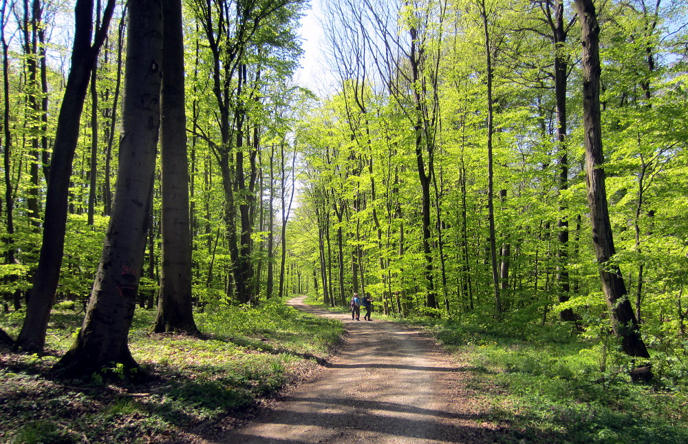 Am Wanderweg 22