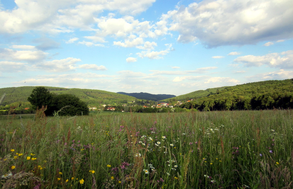 Blick auf Mauerbach