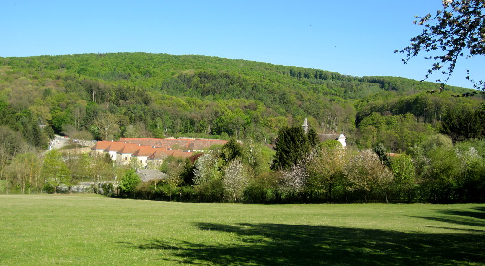 Blick auf die Kartause