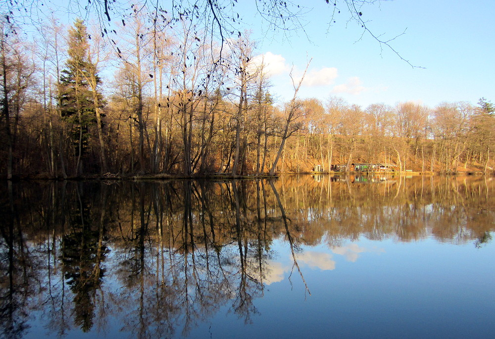 Hirschengartenteich im Herbst