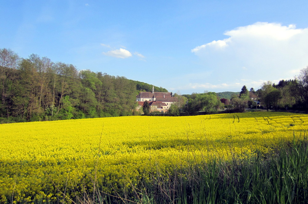 Kartause hinter blühendem Rapsfeld