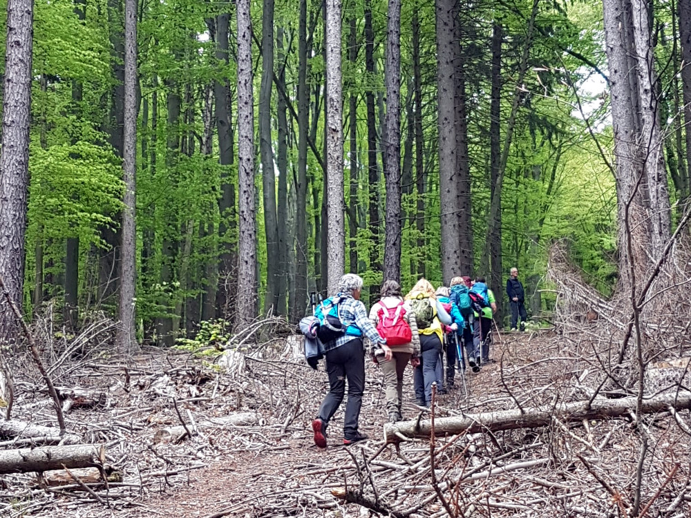 Wandergruppe